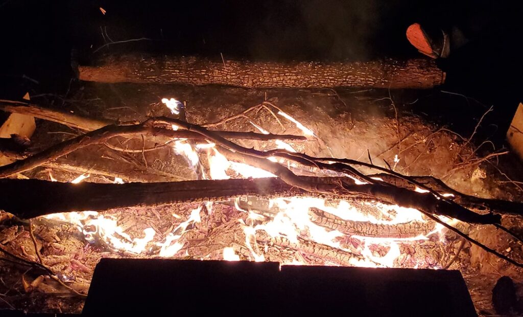 logs on the fire