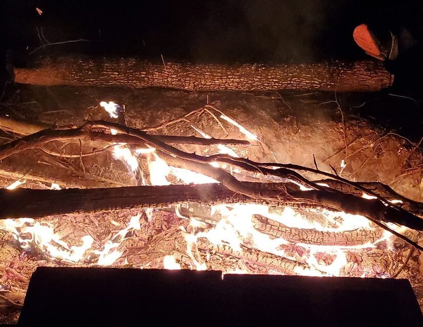 logs on the fire